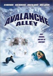 Poster Avalanche Alley