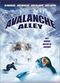 Film Avalanche Alley