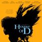 Poster 1 House of D