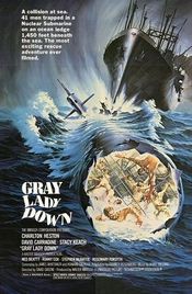 Poster Gray Lady Down