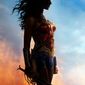 Poster 14 Wonder Woman