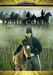 Poster The Colt