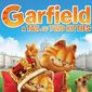 Poster 4 Garfield's A Tail of Two Kitties