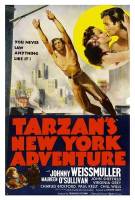 Tarzan's New York Adventure poster