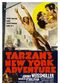 Film Tarzan's New York Adventure