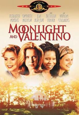 Moonlight and Valentino poster