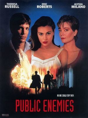 Public Enemies