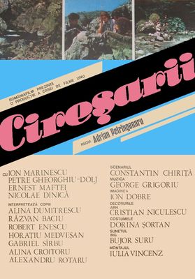 Cireșarii poster