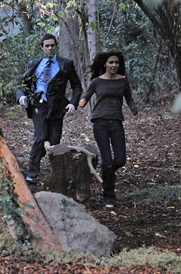 Without a Trace