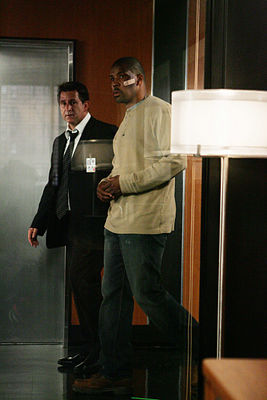 Without a Trace