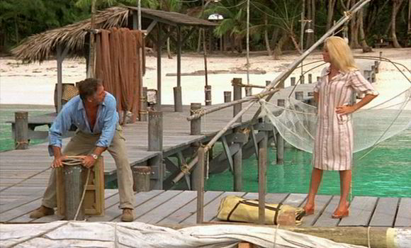 Le Sauvage