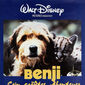 Poster 1 Benji the Hunted