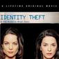 Poster 2 Identity Theft: The Michelle Brown Story