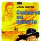 Poster 12 The Searchers