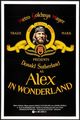 Film - Alex in Wonderland