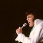 Foto 9 Elvis: That's the Way It Is