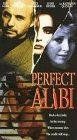 Poster Perfect Alibi