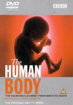 Corpul omenesc