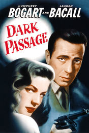 Poster Dark Passage