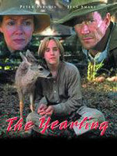 Poster The Yearling