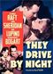 Film They Drive by Night
