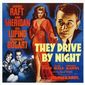 Poster 3 They Drive by Night