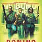 Poster 1 Domino