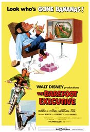 Poster The Barefoot Executive