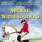 Poster 2 Miracle of the White Stallions