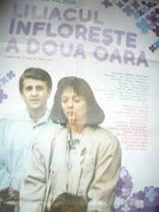 Poster Liliacul înflorește a doua oară