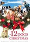 Film The 12 Dogs of Christmas
