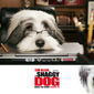Poster 11 The Shaggy Dog
