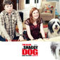 Poster 9 The Shaggy Dog