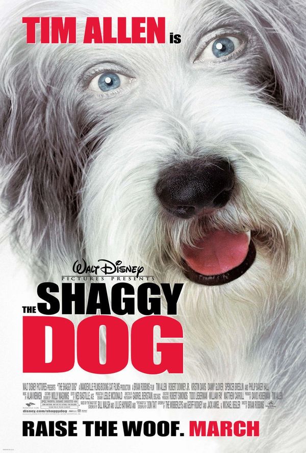 The Shaggy Dog - BlÄƒnosul (2006) - Film - CineMagia.ro