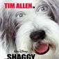 Poster 1 The Shaggy Dog