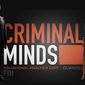 Poster 15 Criminal Minds