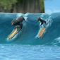 Surf's Up/Cu toții la surf!