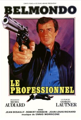 Le Professionnel poster