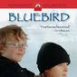 Poster 2 Bluebird