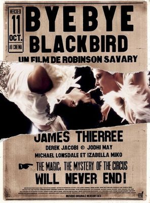 Bye Bye Blackbird poster