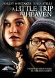 Film - A Little Trip to Heaven