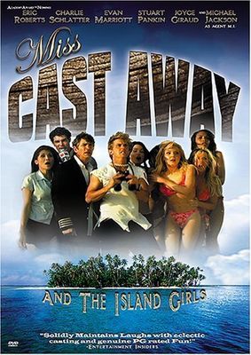 Miss Cast Away poster