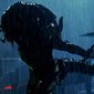 Foto 4 Aliens vs. Predator 2: Requiem
