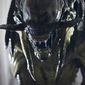 Foto 21 Aliens vs. Predator 2: Requiem