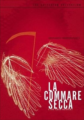 La commare secca poster