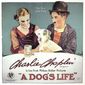 Poster 4 A Dog's Life