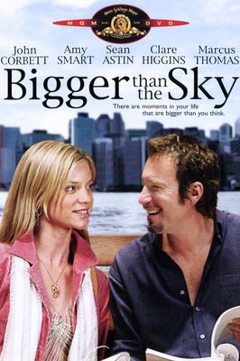 Bigger Than the Sky poster