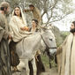 Foto 26 The Nativity Story