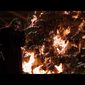 Heath Ledger în The Dark Knight - poza 399