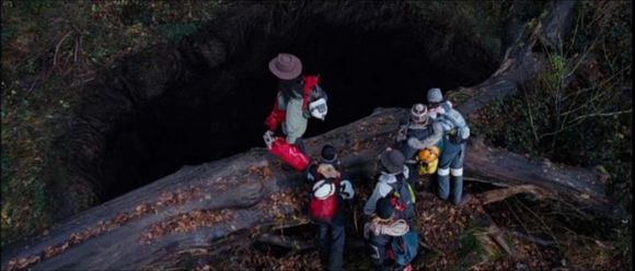 The Descent